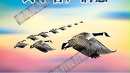 BEOL青岛贝尔智能科技启用SCRM系统2021.10.26